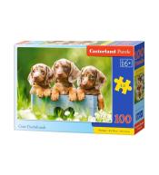 Puzzle 100 Słodkie jamniki CASTOR