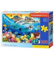 Puzzle 100 Dolphins in the Tropics CASTOR