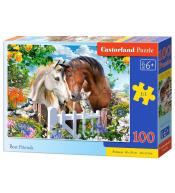 Puzzle 100 Best Friends CASTOR