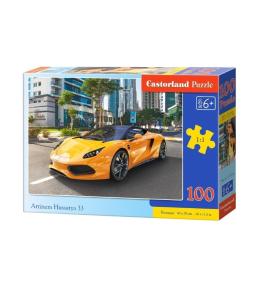 Puzzle 100 Arrinera Hussarya 33 CASTOR