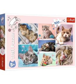Puzzle 100 W kocim świecie TREFL