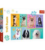 Puzzle 100 W świecie piesków TREFL