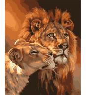 Malowanie po numerach - 40x50cm Lwy