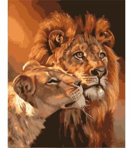 Malowanie po numerach - 40x50cm Lwy
