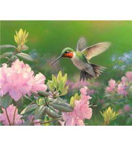 Malowanie po numerach - 40x50cm Koliber