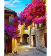 Malowanie po numerach - 40x50cm Uliczka z drzewam