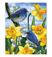 Malowanie po numerach - 40x50cm Ptaszki na żonkila