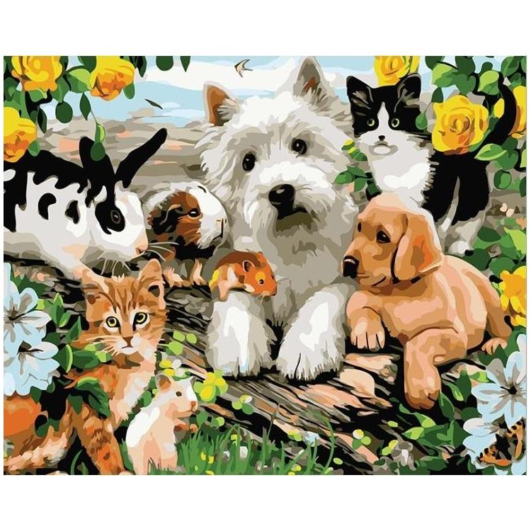 Malowanie po numerach - 30x40cm Zwierzęta