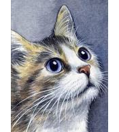 Malowanie po numerach - 30x40cm Kot