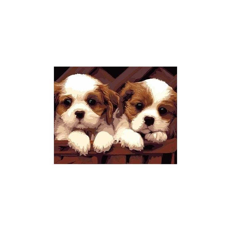 Malowanie po numerach - 30x40cm Dwa psy