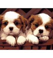 Malowanie po numerach - 30x40cm Dwa psy