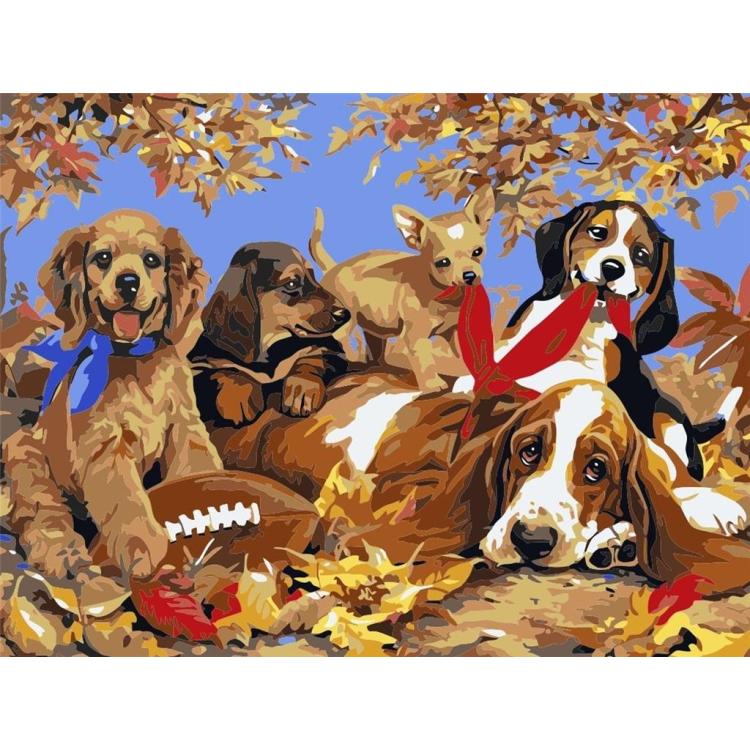 Malowanie po numerach - 30x40cm Psy