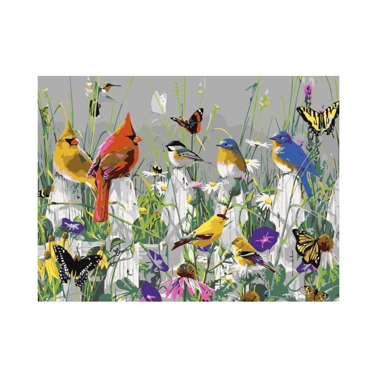 Malowanie po numerach - 30x40cm Ptaszki