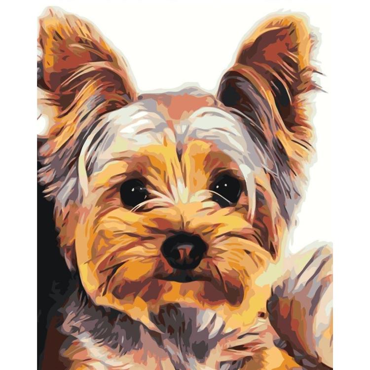 Malowanie po numerach - 30x40cm York