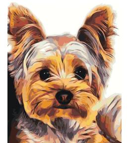 Malowanie po numerach - 30x40cm York