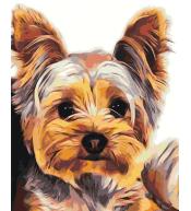 Malowanie po numerach - 30x40cm York