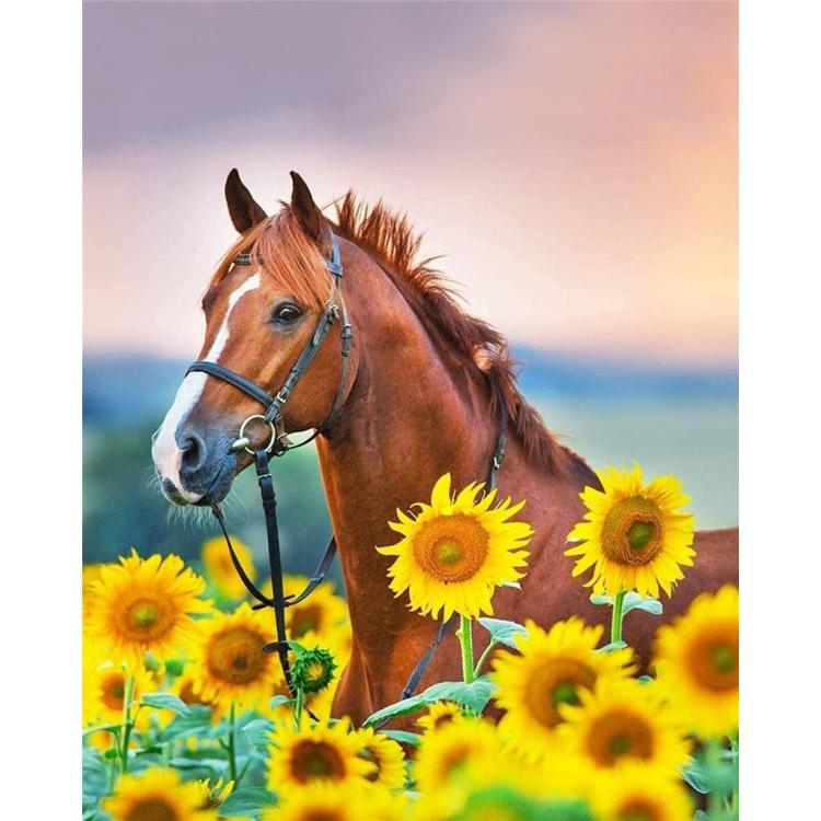 Malowanie po numerach - 30x40cm Koń w słonecznik.