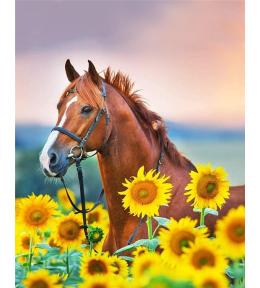 Malowanie po numerach - 30x40cm Koń w słonecznik.