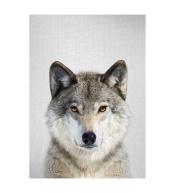 Mozaika diamentowa 5D - Wilk 40x30cm