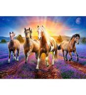 Mozaika diamentowa 5D - Konie 40x30cm