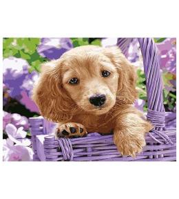 Mozaika diamentowa 5D - Pies 40x30cm