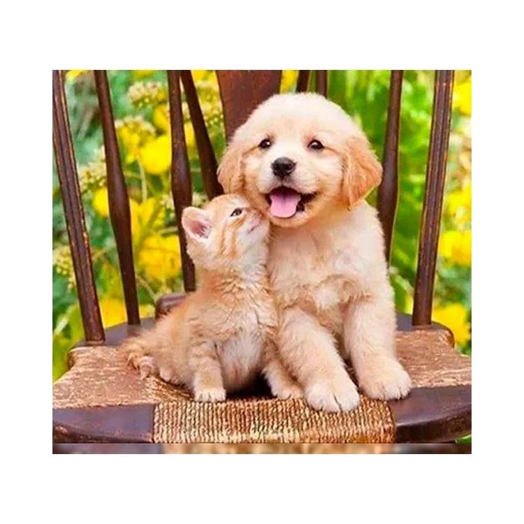 Mozaika diamentowa 5D -Pies i kot 40x30cm