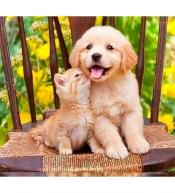 Mozaika diamentowa 5D -Pies i kot 40x30cm