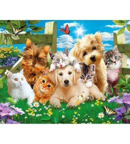 Mozaika diamentowa 5D - Psy i koty 40x30cm