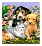 Mozaika diamentowa 5D - Zwierzęta 40x30cm