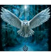 Mozaika diamentowa 5D - Sowa 40x30cm