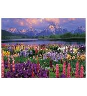 Mozaika diamentowa 5D - Pejzaż 40x30cm