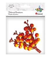 Gałązki owoców winobluszczu pomarańcz.-żółte 3szt