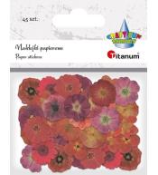 Naklejki papierowe Kwiaty mix 45szt