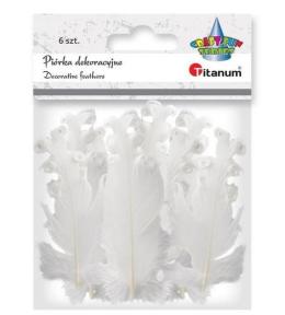 Piórka curly białe 6szt