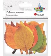 Dekoracje kartonowe Liście mix 30szt