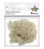 Mech chrobotek beżowy 20g