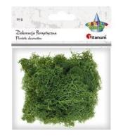 Mech chrobotek ciemnozielony 20g