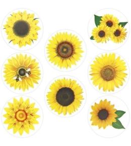 Naklejki papierowe na taśmie Słoneczniki 500szt