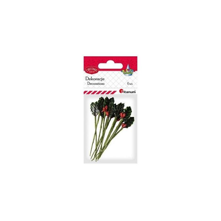 Gałązki ostrokrzewu 15x30mm 6szt