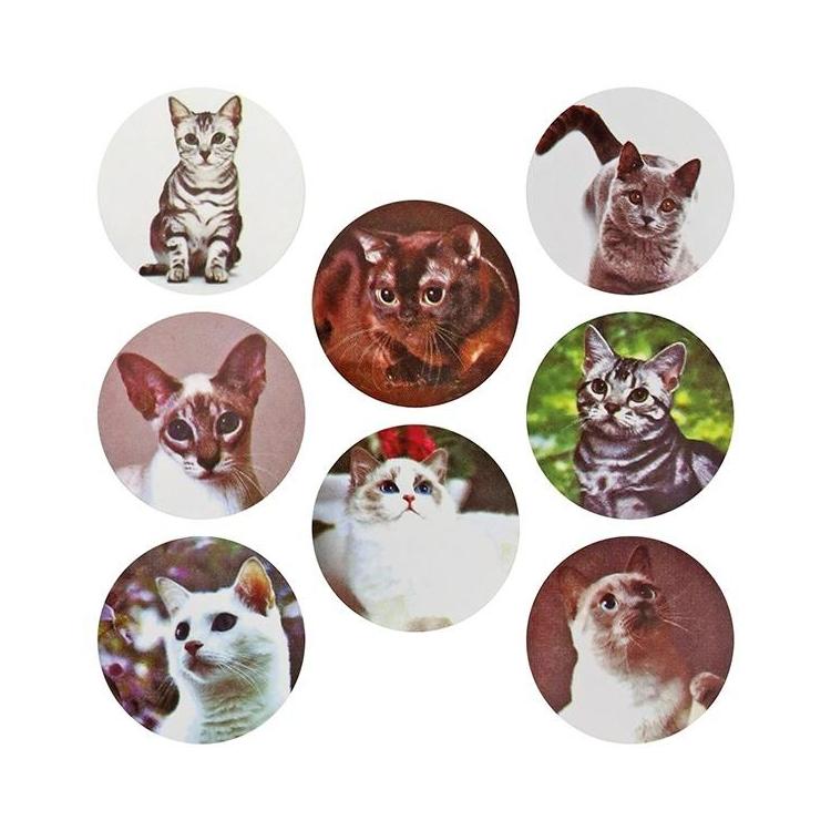 Naklejki papierowe na taśmie Koty 25mm 500szt