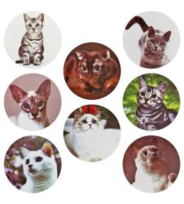 Naklejki papierowe na taśmie Koty 25mm 500szt