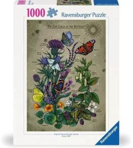 Puzzle 1000 Cykl życia motyla