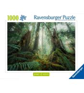Puzzle 1000 Lasy