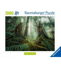 Puzzle 1000 Lasy