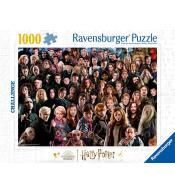 Puzzle 1000 Challenge. Harry Potter