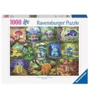 Puzzle 1000 Piekne grzyby