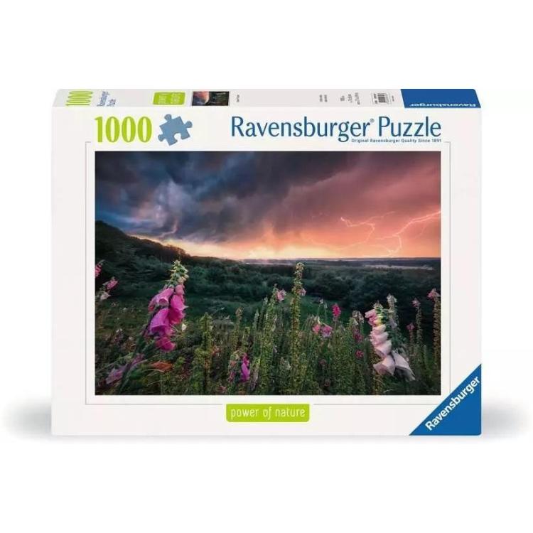 Puzzle 1000 Nadchodzi burza