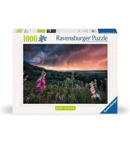 Puzzle 1000 Nadchodzi burza