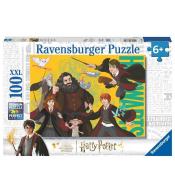 Puzzle 2D 100 Harry Potter - Młodzi Czarodzieje