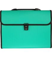 Teczka A4 z rączką 12 przegródek zielona